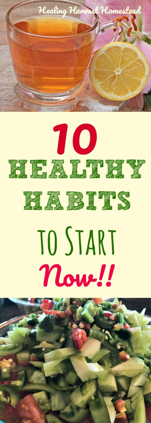 It may be the New Year and time to set goals and start some different good habits...but these 10 Healthy Habits are habits for your health you should start right NOW, no matter what time of the year it is! Get your body, mind, and soul healthy by starting these 10 things right now! New habits are great---as long as they add to your life and health! #healthyhabits #habits #newyear #health #healthy gethealthy #eat #healingharvesthomestead #habits