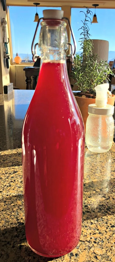Isn't that gorgeous? Beet kvass is healthy, yes, but it is also a beautiful drink.