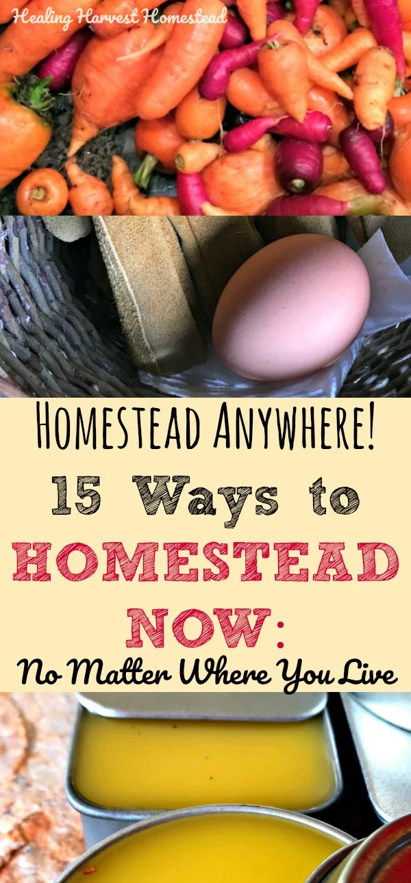 Did you know you can homestead anywhere? Yep! You CAN! Even in a city, you can be a homesteader. Here are some things you can start doing right now! Find out how to start your homestead no matter where you live! #homestead #homesteadskills #preparedness #prepper #howtostart #healingharvesthomestead