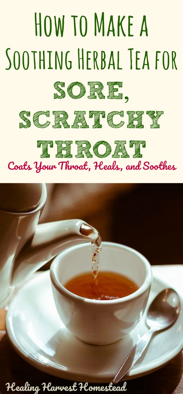 Throat Soothing Tea Here Is A Simple Effective Recipe For A Sore
