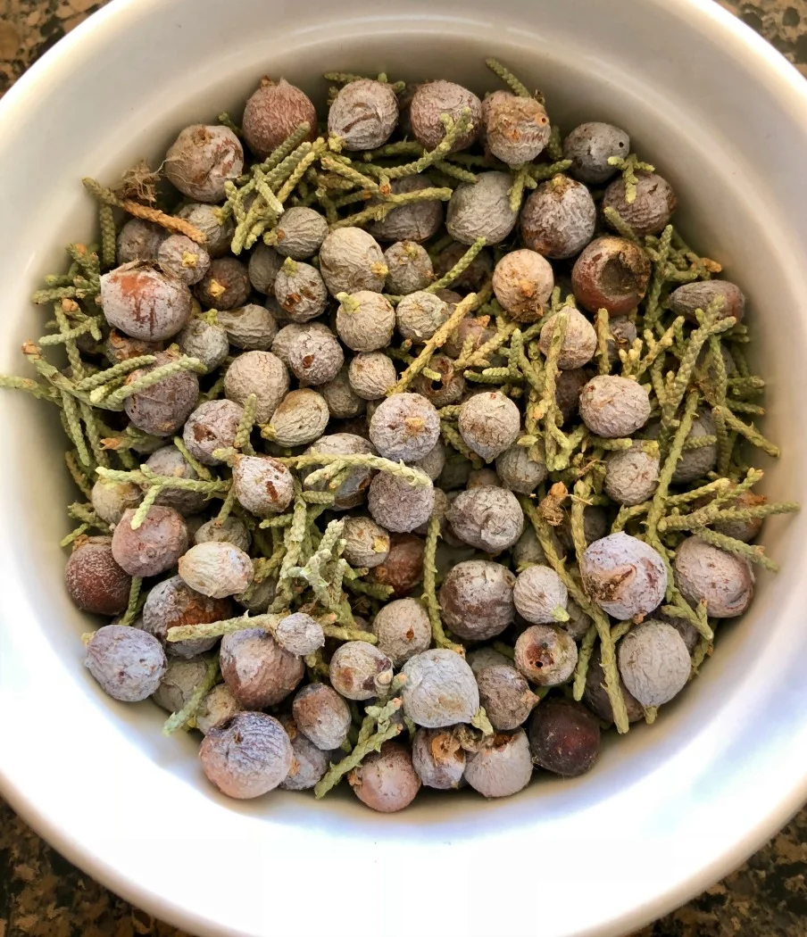Here are some juniper berries I picked about a month ago. These are dried and ready to go! You can use them fresh, as well. They do not contain a high level of moisture.