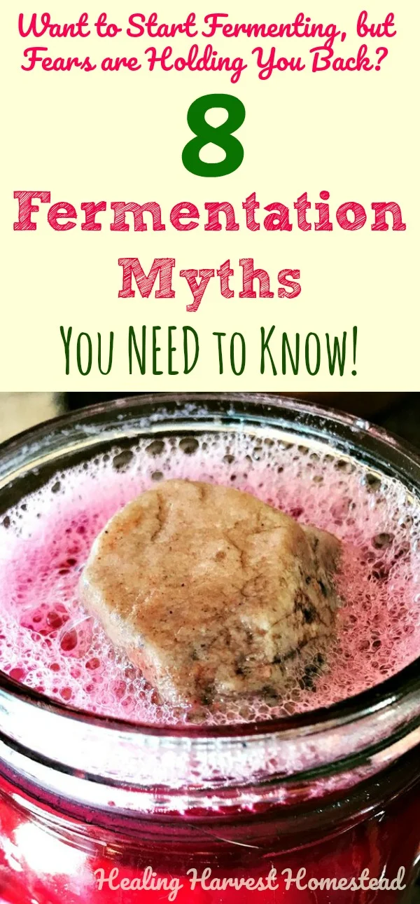 Have you been wanting to start fermenting your own food, but you're afraid? Find out about eight common fermentation myths that hold people back. Here is why you need to begin fermenting your own foods and how fermentation is so good for your health. Need extra probiotic? Eating fermented foods is a great way to get them, so click through to find out more! #fermentation #fermented #fermenting #myths #health #fermentedfoods #rawfood #probiotics #guthealth #microbiome #heal #gut