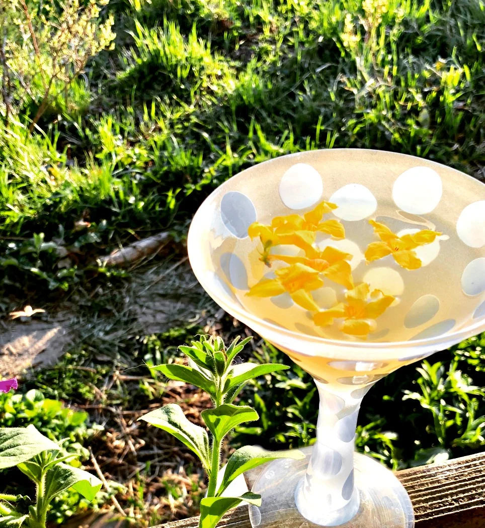I don't drink hard alcohol as a general rule, but I do use Vodka in my herbal tinctures. I decided to make a "tini" from the forsythia syrup, just to experiment.