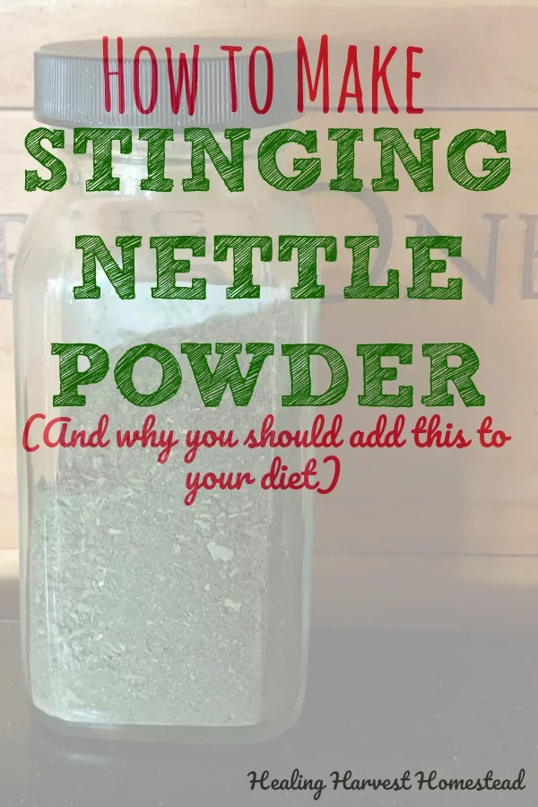 Making and Using Nettle Powder for Nutrition and Health...And How to