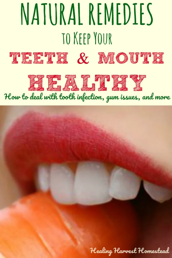 Scared of the dentist? Or just don't have the money for expensive tooth care? Here are healthy, natural ways to take care of your teeth and mouth to prevent tooth decay and mouth disease. Find out what to do if you have a tooth ache and how to take care of a mouth infection using natural remedies. Herbs, essential oils, and other natural cures can help you keep your teeth and mouth healthy!