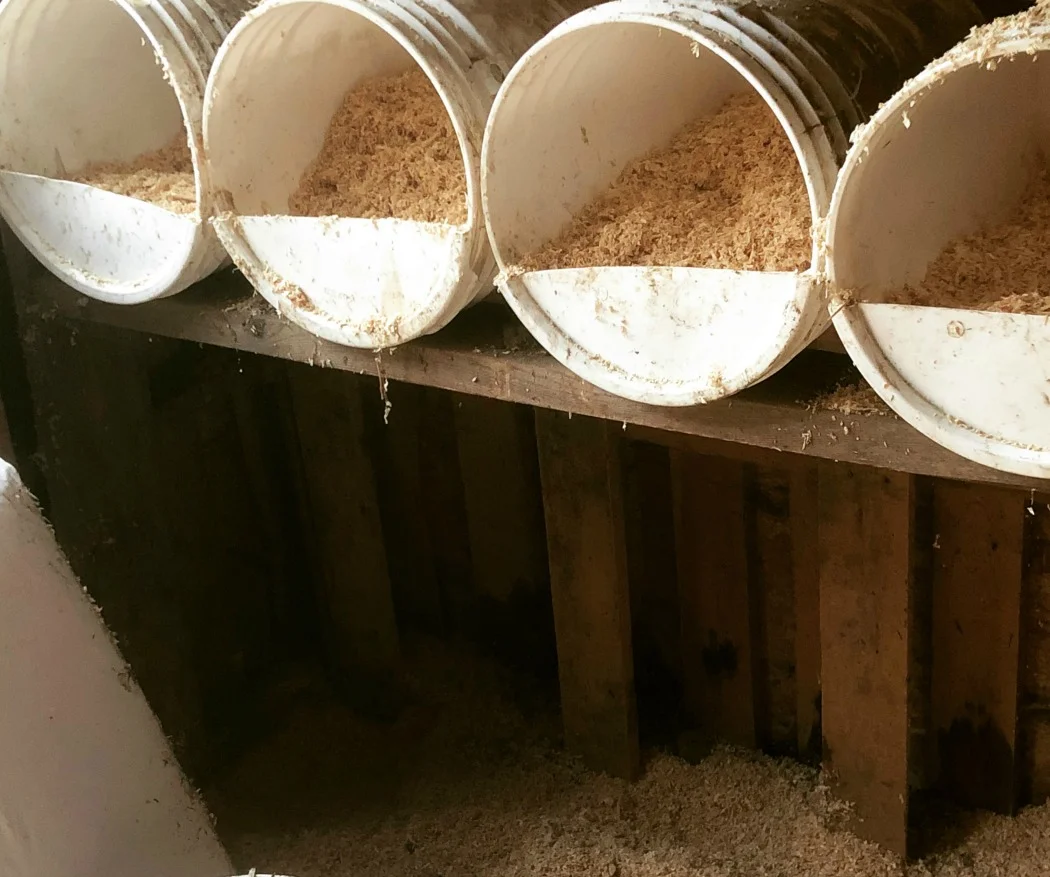 Keeping a clean coop goes a long way in creating an environment for your ladies so you have healthy, clean, fresh eggs.