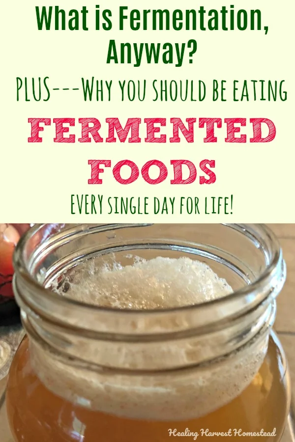 Find out why fermented foods are great for improving your gut health. Help your body rid itself of candida, feel more energy, reap the health benefits of fermented foods! Click to find out what fermentation is and how to eat your probiotics naturally every day. #fermentation #probiotics #candida #guthealth #fermentedrecipe