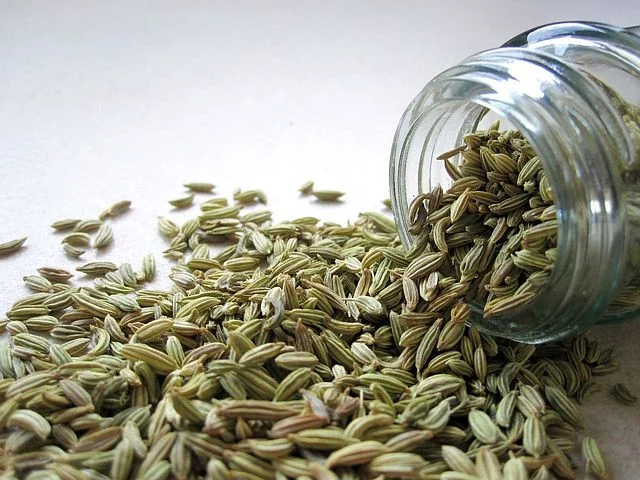 Fennel seeds are delicious! They are also exceptionally helpful for your digestion. Here is an article with great ways to use fennel.