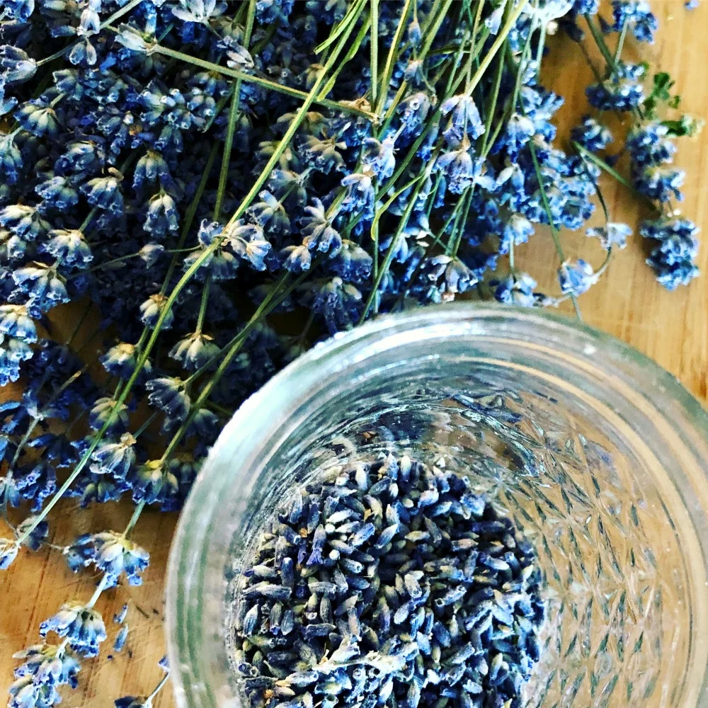 Some herbalists love to grow their own herbs, like this lavender I picked from my garden. But no worries if you can't forage or grow your own! You can purchase wonderful herbs from suppliers like Starwest Botanicals .