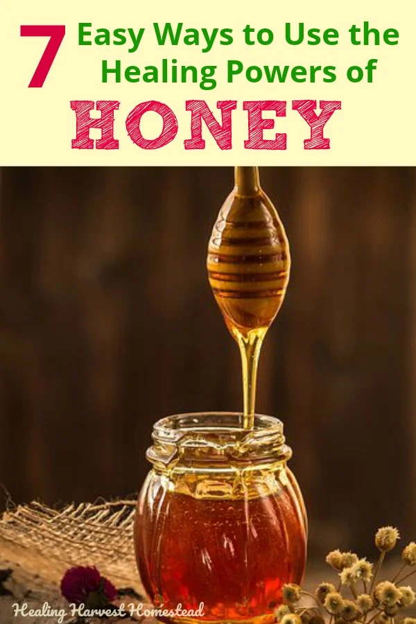 Raw honey is useful in so many natural remedies and home medicines you can easily make your self. Get ready for the back-to-school illnesses by boosting your immune system (and your child's) and having some home cures using honey on your idea list! #honey #homeremedy #remedy #cure #naturalcure #naturalremedy #honeyasmedicine #herbalism #herbal #backtoschool #coldfluseason #cold #flu #healing #healingharvesthomestead #health #getridof