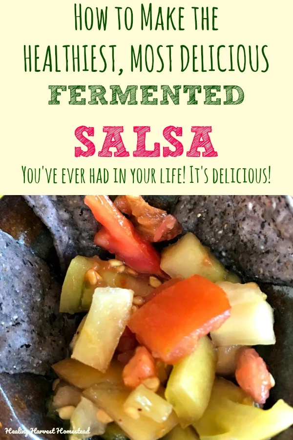 Have you been searching for the perfect fermented salsa recipe that every single person will fall in love with? It's here! Directions for how to make a salsa that's fermented, containing healthy probiotics, with the perfect Southwest Salsa flavor. Perfect for your next get-together or healthy family snack! #fermented #salsa #dip #sauce #condiment #topping #easysalsa #healthy #southwestflavor #Mexicanfood #healthytexmex #texmex