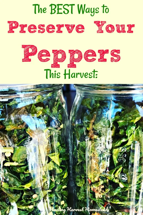 Growing a LOT of peppers this year? Or taking advantage of buying them at the Market? Here are the BEST ways to preserve your peppers for long-term storage. You'll find out how to dehydrate peppers, ferment peppers, and even freeze them. Pepper preservation for later is the thing right now! #peppers #hotpeppers #foodpreservation #dehydratepeppers #fermentpeppers #freezepeppers #howto #preserve #preserves #food #harvest