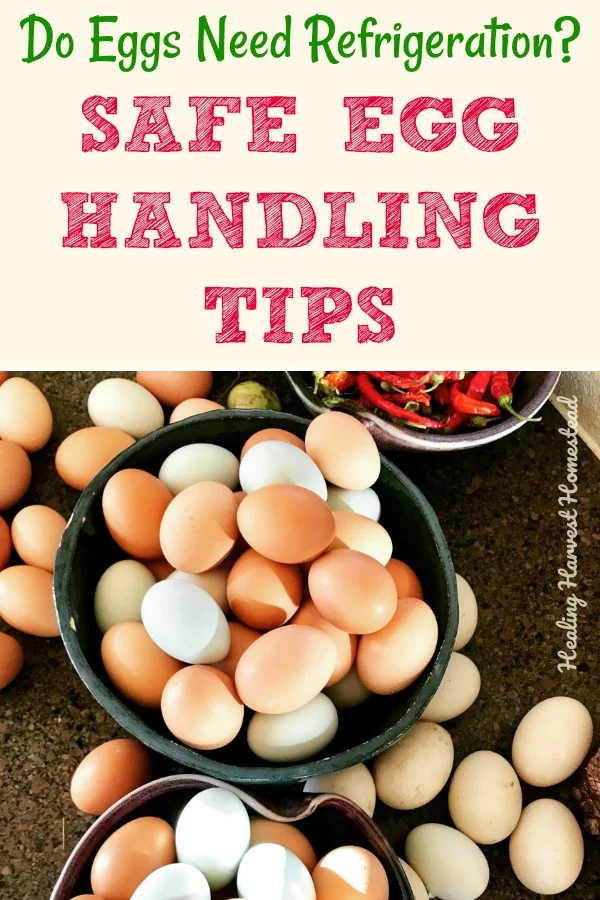 Can you keep your eggs on the counter? Well, the answer is yes. And no. It depends on several factors. Find out how to keep your eggs so they are safe for your family to eat! Have you ever wondered how long eggs actually are good for? Here you go! Click through to find out all your answers! #eggs #safeeggs #refrigeration #refrigerated #homestead #chickens #howtokeepeggs #homesteadskills