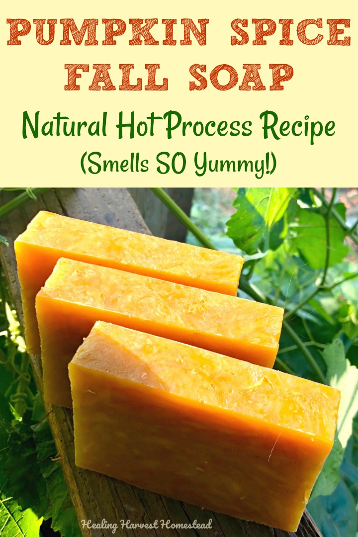Pumpkin Spice Bar Soap - Ivy Nicole Natural Remedies