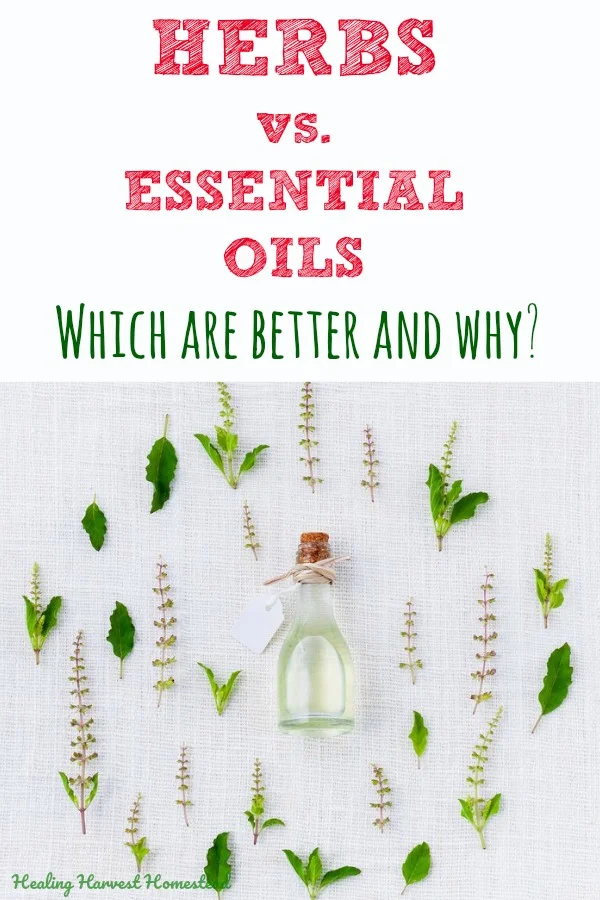 Have you ever wondered if herbs are better than essential oils? Or vice versa? I have been using both herbs and essential oils for many years now, so I have the answer! Click here to find out the positives and negatives & the benefits and the downsides of both. PLUS which is best to use! #herbs #essentialoils #best #better #downsides #benefits #howtouseherbs #howtouseessentialoils #herbsandessentialoils #apothecary #beginners #howtouse #essentialoils #herbs #remedy #cure #blend