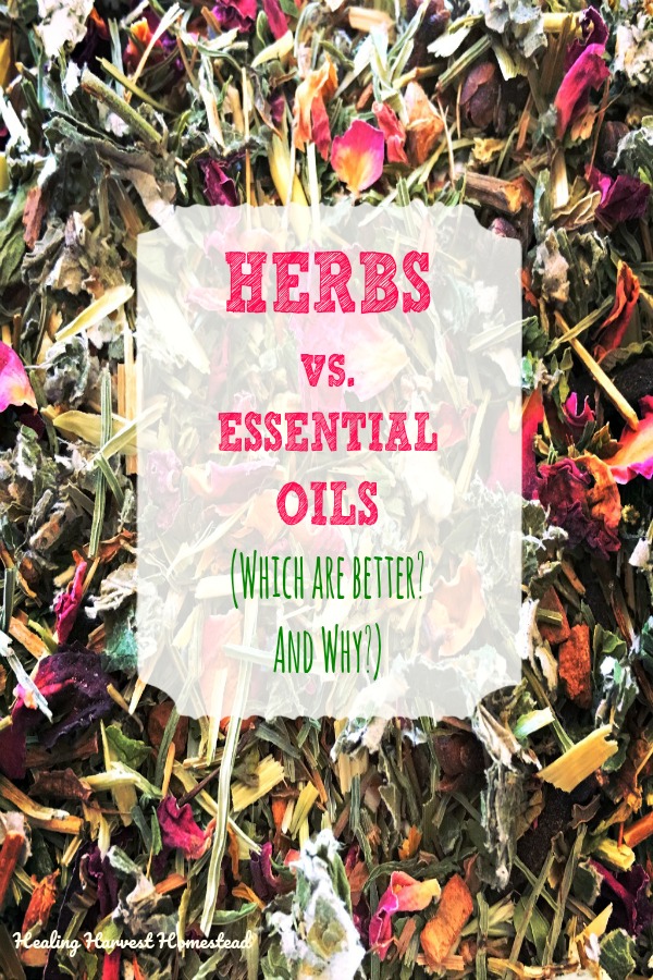 Herbs vs. Essential Oils Thoughts from an Herbalist and Aromatherapist