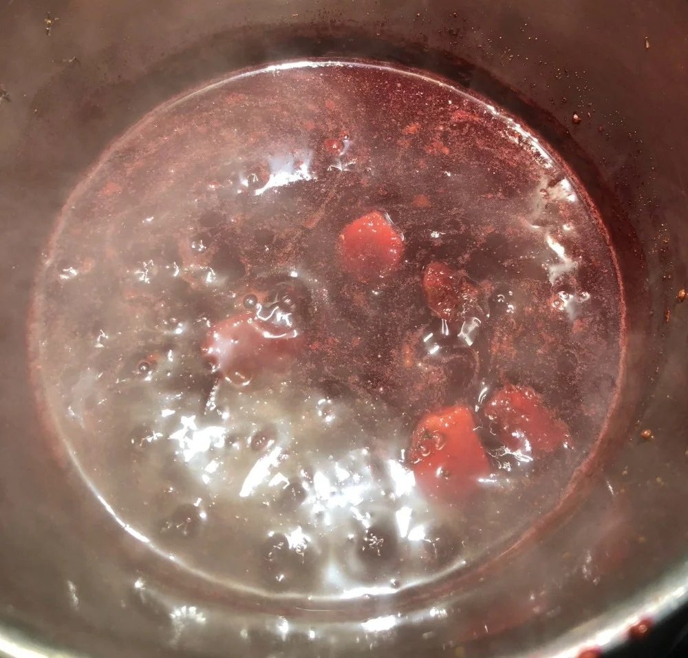 This is Step 3, below. I've already created the juice, and now the ginger and spices are simmering away, while the liquid reduces a bit more.