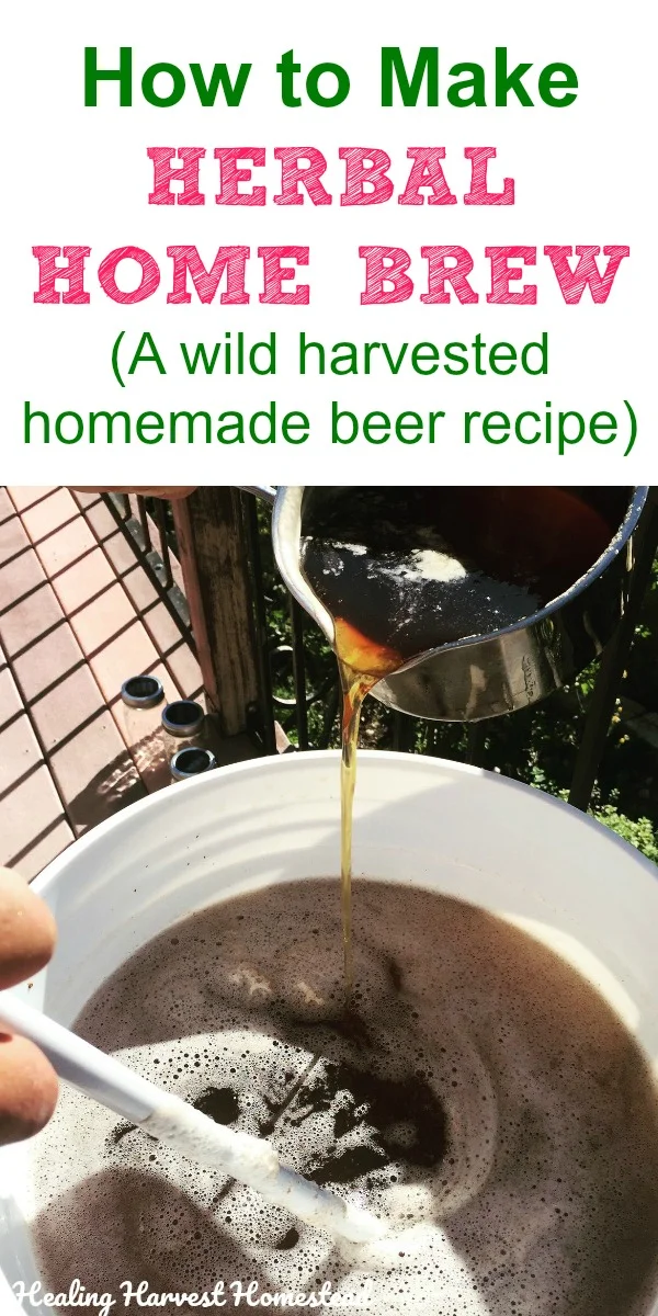 Here is a wildcrafted herbal homemade beer recipe you can make at home! Ideas for using natural herbs from your area to create a home brew you can enjoy. Great idea for the prepper or survivalist too. Make your own herbal beer from foraged herbs. Delicious! #howtomake #beer #ale #homebrew #homemadebeer #herbal #herbalbeer #homemadeale #foraged #brewing #athome #mancave #healingharvesthomestead