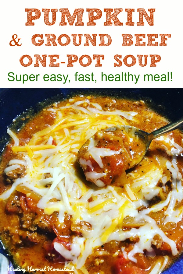 How to Make Pumpkin & Ground Beef Soup: Perfect for Fall, It's an Easy ...