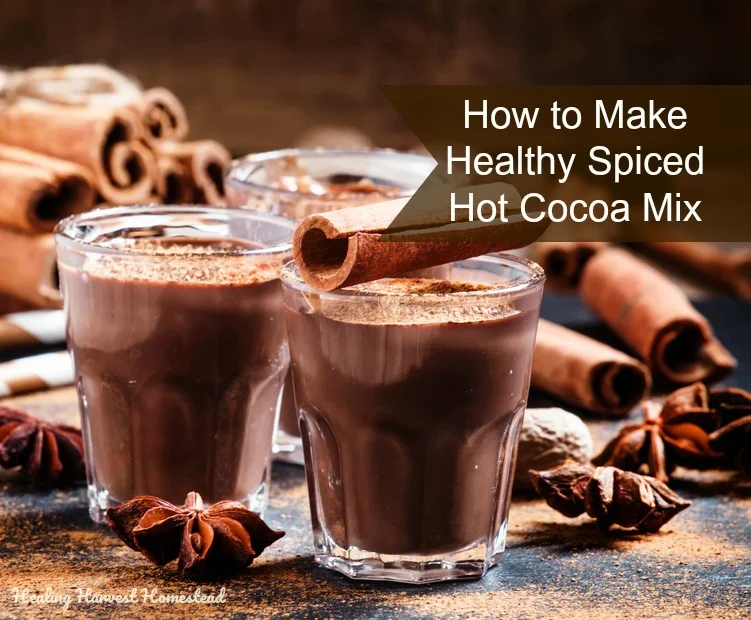 How to Make Incredibly Healthy Hot Chocolate! A Homemade Cocoa Mix Recipe Using Spices