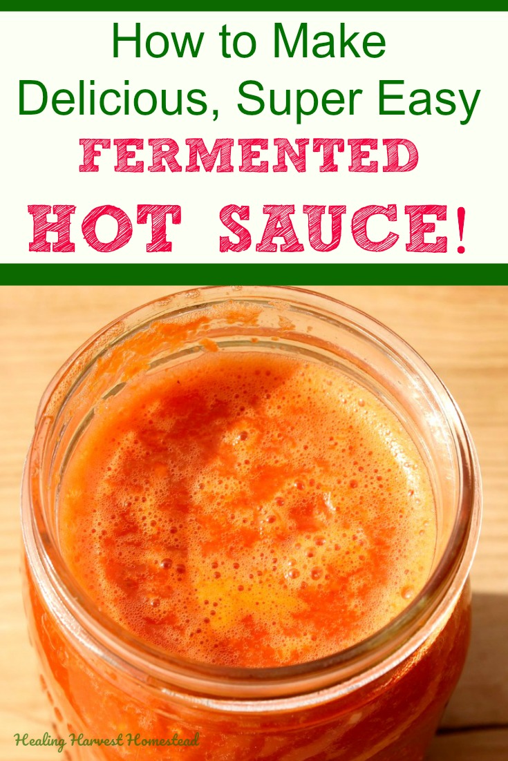 Want to make your own incredibly delicious and easy hot sauce? You can do this! You can use fresh or dried peppers. Even the peppers in the grocery store are just fine. Fermented foods have a ton of healthy probiotics and increased nutrition. Here is my recipe for fermented hot sauce you will LOVE! And get this? It costs pennies! #fermented #hotsauce #recipe #easy #howtomake #healthy #easy