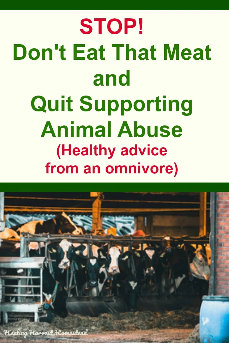 Meat from factory farms comes from animals that are abused. The meat is shockingly unhealthy due to what they are fed, as well as their treatment. STOP eating the MEAT! Here are ways you can find healthy meat that is good for you. Clean meat is the way to go, but you have to have an open mind and know where to find it. #cleanmeat #healthy #meat #healingharvesthomestead