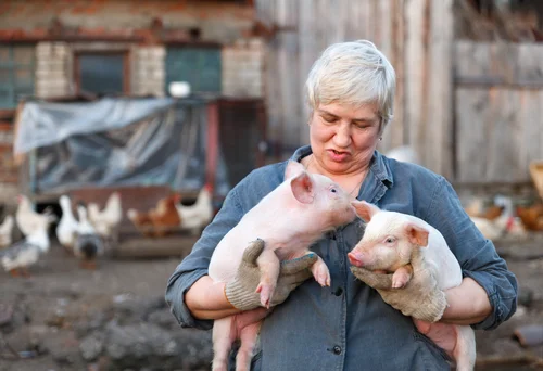 Small farmers are one of the best places to find clean, healthy meat.