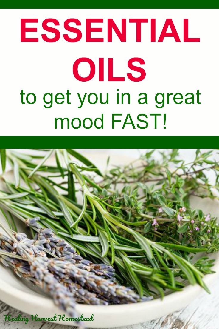 Are you feeling down? Or irritated? Do you have road rage or anger? Here’s how to turn that frown upside down! Get yourself into a good mood fast with essential oils. Here are all the moods and how to change them so you are feeling happing, joyful, and content. Yes. Essential oils can do this FAST. #essentialoils #formood #foremotions #forhealth #forhappiness #healingharvesthomestead