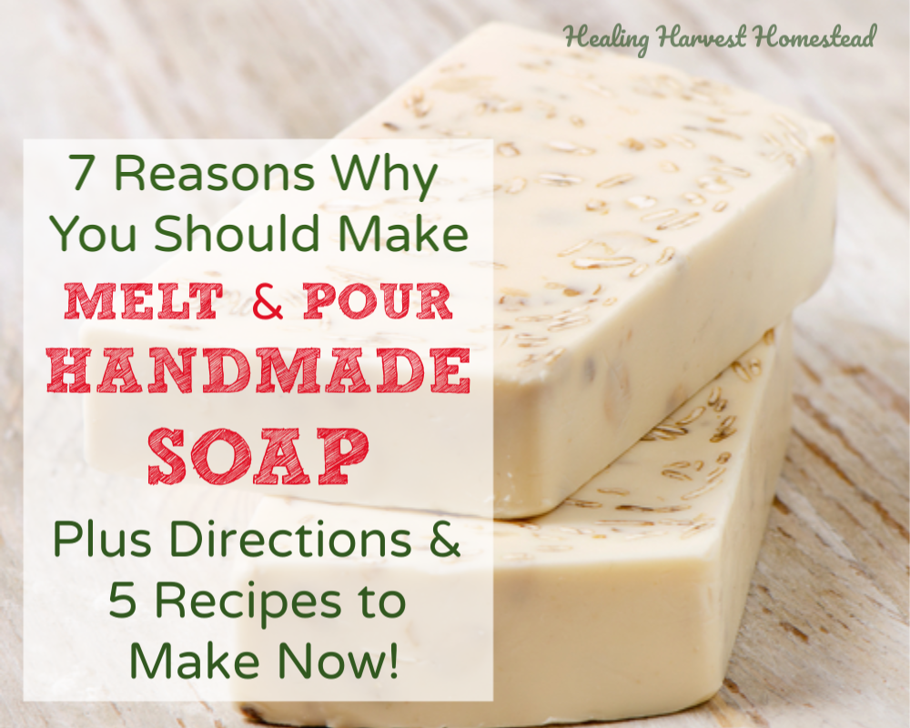 7 Reasons Why You Should Make Melt & Pour Handmade Soap + Complete  Directions & Recipes (Number 1: It's a Perfect Gift!) — All Posts Healing  Harvest Homestead