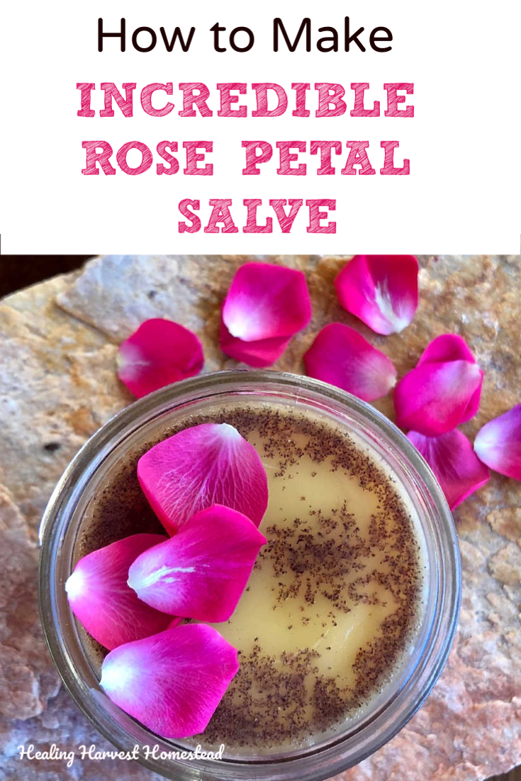 Oh….roses! Doesn’t everyone love them? Here is a great gift you can make easily for a friend (or for yourself): My easy and effective Rose Petal Salve: super skin soothing and sweet-smelling. This homemade salve is created with natural ingredients & essential oils for a real treat for your skin and nose. This recipe is easy, simple, and fast, too! #handmade #gift #diy #miy #salve #rose #moisturizing #holiday #soothing #homeremedy #natural #recipe #healingharvesthomestead