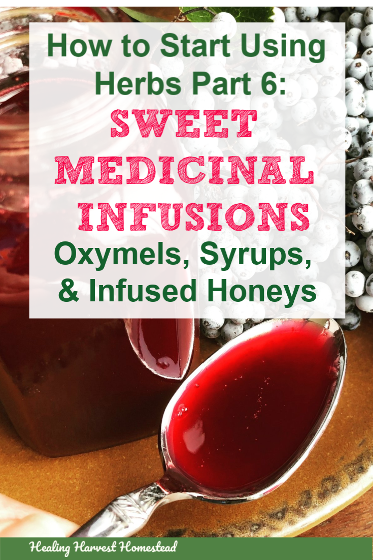 Here’s Part 6 in the series, How to Start Using Herbs: Sweet Medicinal Infusions (Oxymels, Herbal Syrups, & Infused Honeys) . This is a yummy section of the herbal series on learning how to use herbs. Find out what is and how to make an oxymel, herbal syrup, and infused honey for your health and wellness…or just to eat because they taste so good! #howtouseherbs #oxymel #infusedhoney #syrup #howtomake #health #easy #homeremedy #healingharvesthomestead