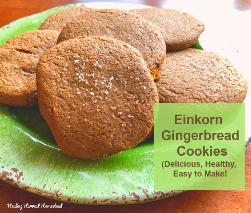 The BEST Einkorn Gingerbread Cookies: An Easy, Healthy Cookie Recipe! (Plus a Book Review)