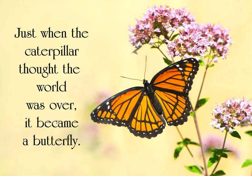 Pic Inspiring Quote Butterfly.jpg