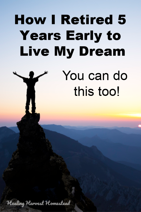 If you don’t like something, change it. Or change yourself. I accidentally figured out how to retire early from my long time career. What a blessing! What a roller coaster! It’s been worth every step. Find out what I did to leave a long term career …