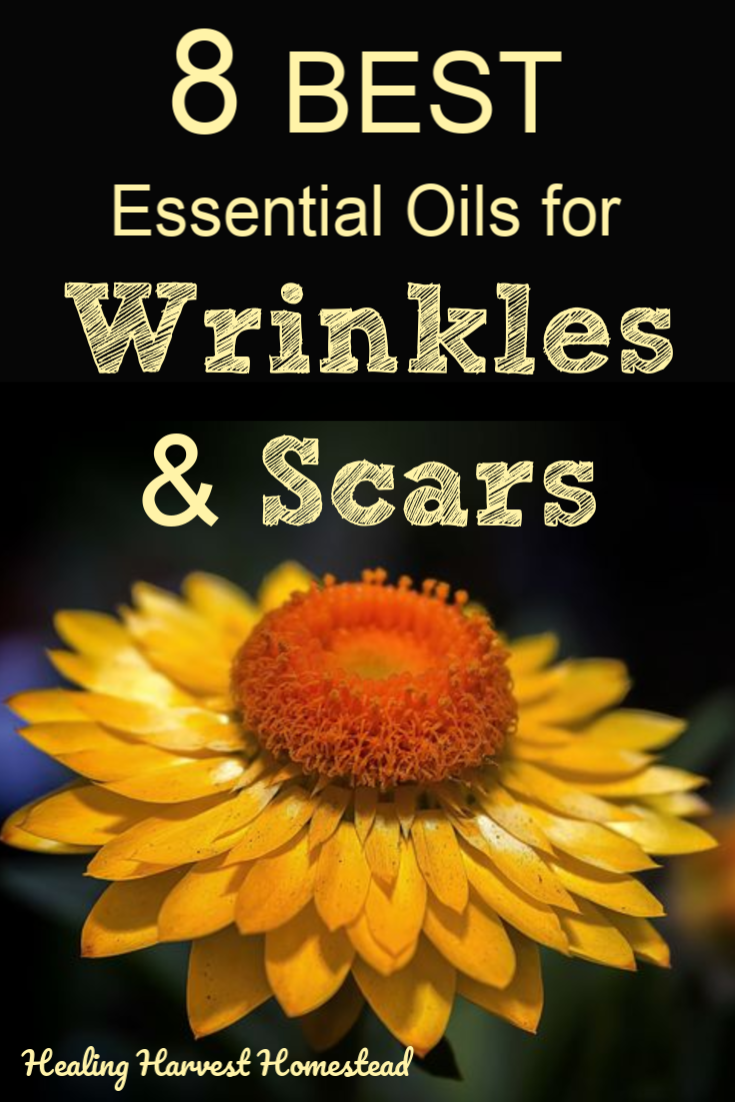 best essential oil for deep wrinkles recipe)