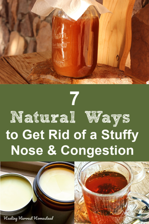 Seven Home Remedies for Getting Rid of Congestion FAST! (Natural, Easy ...