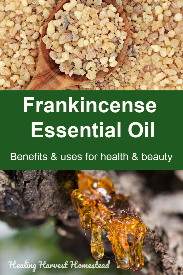 Is frankincense essential oil safe to ingest? - Quora