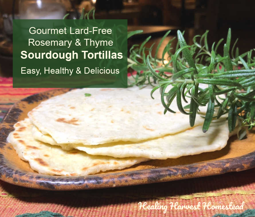 Easy Gourmet Lard-Free Handmade Sourdough Tortillas with Rosemary and Thyme (Mmmmm.....To Die For!)