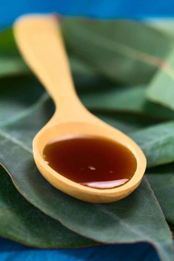 Homemade Decongestant Syrup that REALLY Works! — All Posts Healing ...