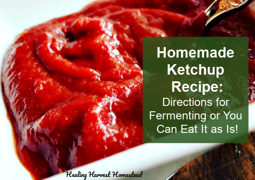 How to Make Homemade Fermented Ketchup (Or is It Catsup?) Delicious, Easy, and Filled With Probiotics!