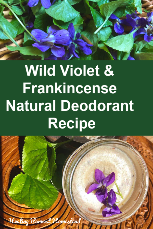 Wild Natural Deodorant - Making The Switch - Violet Hollow