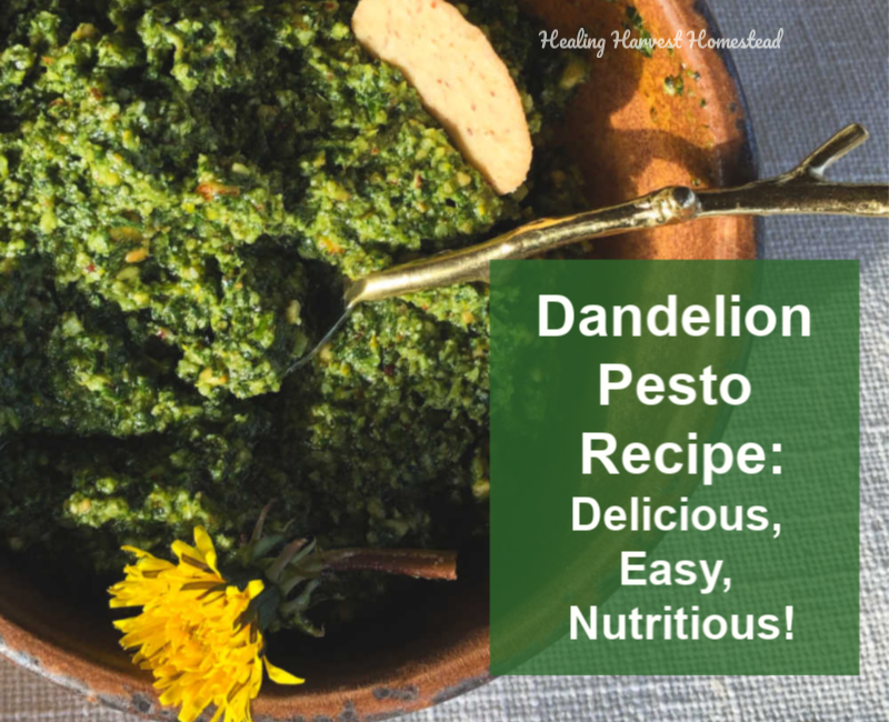 Spring Greens Dandelion Pesto: So Easy. So Delicious! So Healthy. So Inexpensive! The Perfect Survival Food