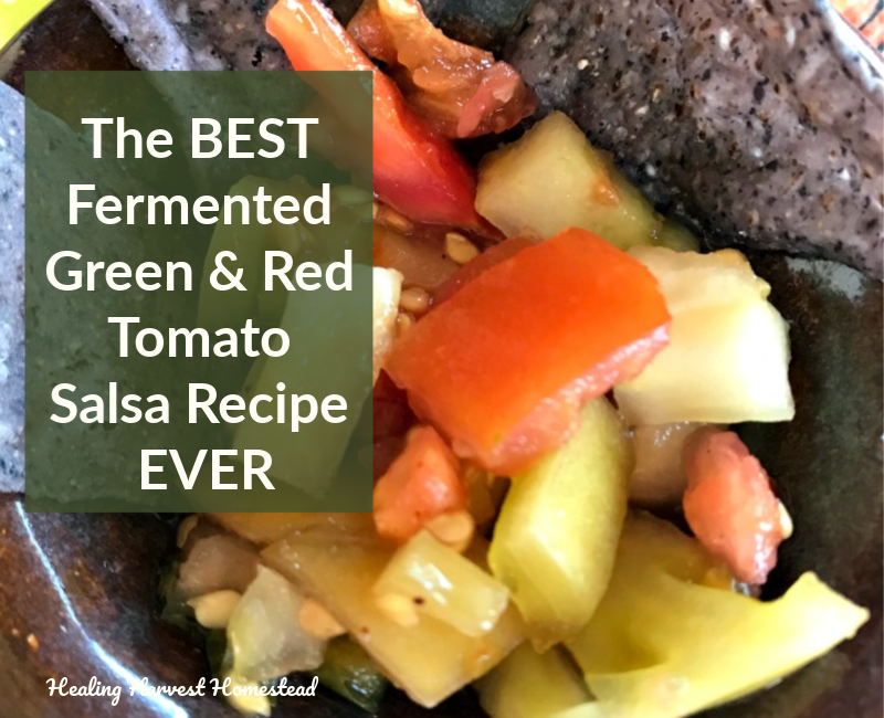 How to Make Fermented Green &amp; Red Tomato Salsa (Yes! Use Up All Those Tomatoes in a Healthy Way!)