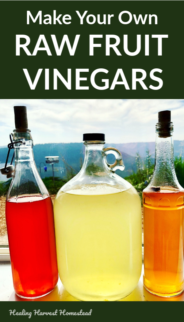 Do you buy expensive store-bought raw apple cider vinegar? Well, it’s easy to save money and drink raw homemade vinegar that’s even healthier for you than the store-bought! It’s filled with natural probiotics, and the taste is amazing! Find out the benefits of raw vinegar, how to make your own at home with step by step instructions, along with a bit of the science of vinegars. #howtomake #homemadevinegar #rawvinegar #fromscratch #savemoney #healthy #benefits #uses #healingharvesthomestead
