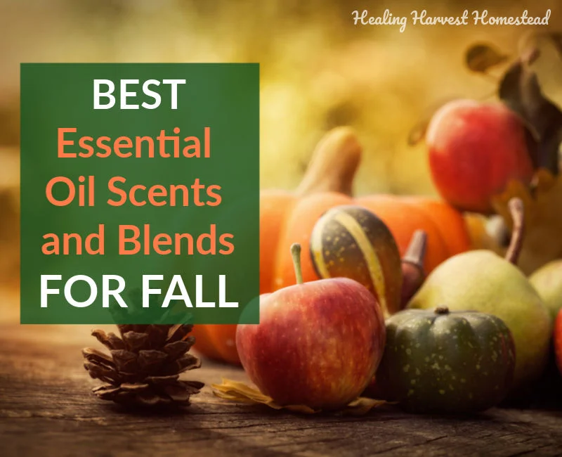 Essential Oils to Use This Fall (Scent and Health Benefits of Singles and Spicy, Warm EO Fall Diffuser Blends Too!)