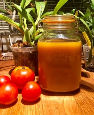Here’s a version of my Fire Cider recipe that herbalist Paula Lyons made (and photo is hers, as well). Isn’t it beautiful?