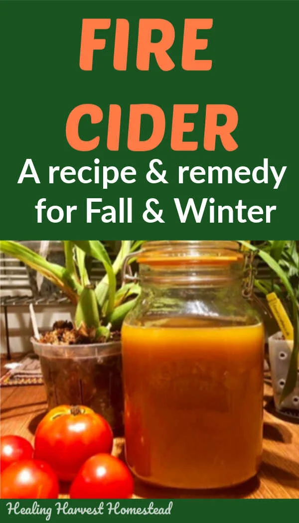 Fire Cider is a Fall and Winter health and wellness tonic drink you'll want to start making now to be ready for cold and flu season. It's an easy to make immune boosting sipping drink that can even be used in your cooking! Find out my version of this popular recipe for Fire Cider by clicking through and giving it a try! #firecider #benefits #homeremedies #immuneboostingfoods #immuneboost #howtomake #getridofcold #natural #remedy #healingharvesthomestead #rosemarygladstar