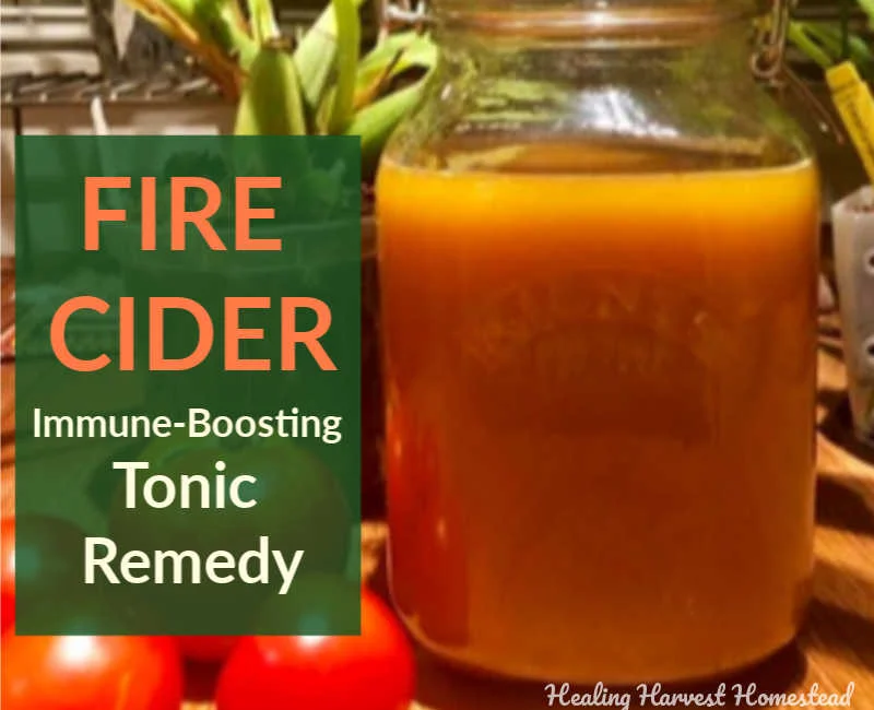 It's Fire Cider Time! Learn How to Make This Classic Tonic Folk Herbal Health Remedy with This Easy Recipe that Boosts Your Immunity