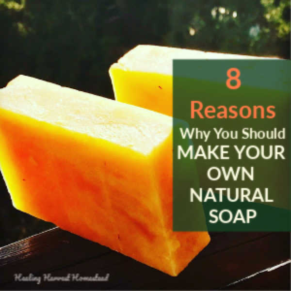 7 Reasons Why You Should Make Melt & Pour Handmade Soap + Complete  Directions & Recipes (Number 1: It's a Perfect Gift!) — All Posts Healing  Harvest Homestead