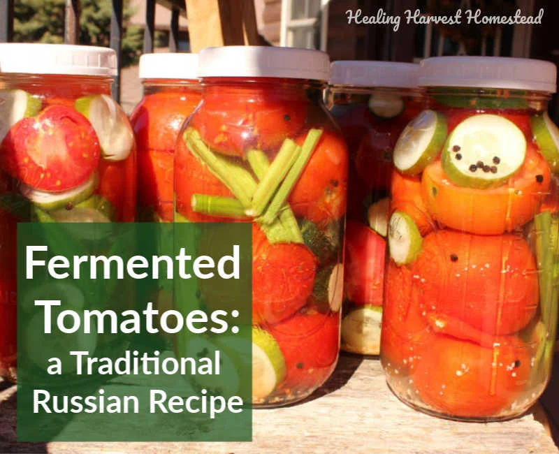 Fermented Tomatoes: A Traditional Russian Recipe Filled with Healthy Probiotics (It's Easy Too)